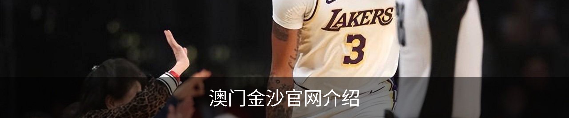 澳门金沙官网介绍